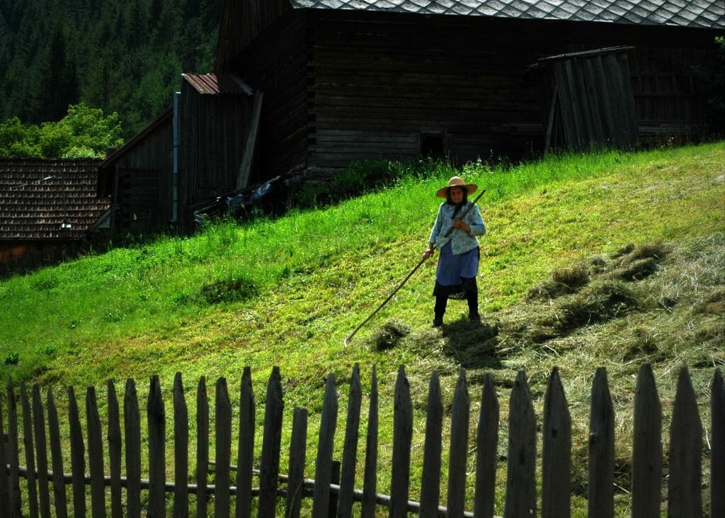 interesting facts about Romania - gathering hay